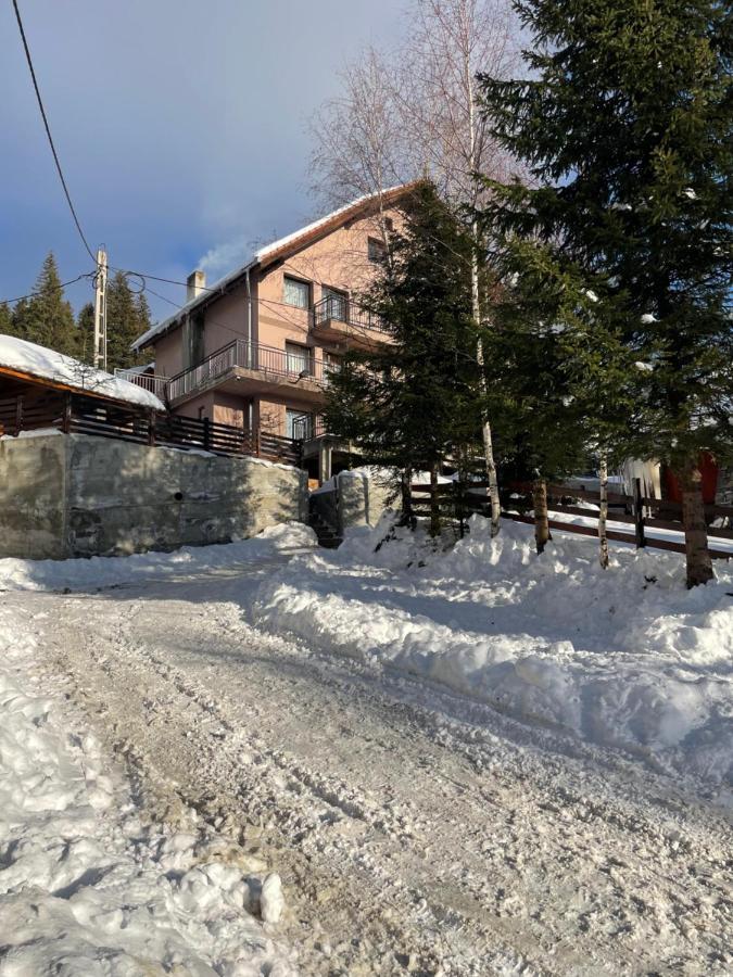 Pensiunea Joe Păltiniş Eksteriør bilde